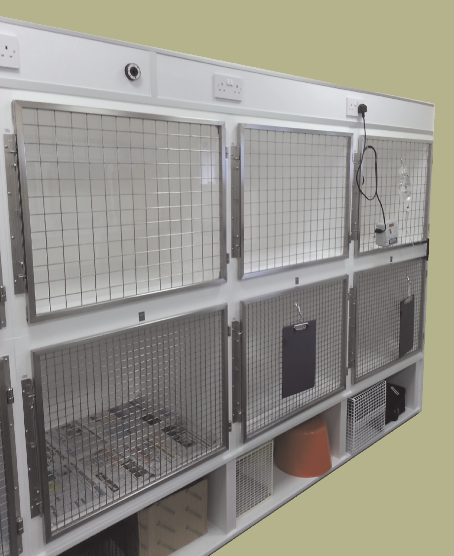 veterinary recovery cages